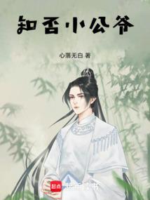 知否小公爷娶了几个