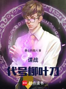 谍战代号柳叶刀_(静止的烟火)