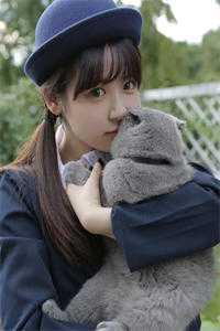 苻坚后妃