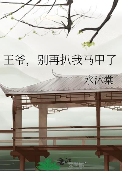 别再扒我马甲了免费阅读