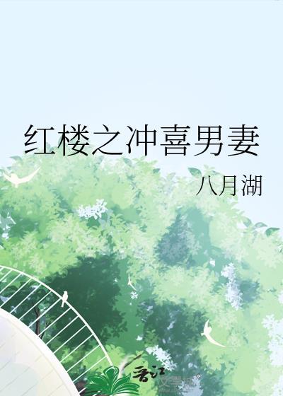 红楼之冲喜男妻22章内容
