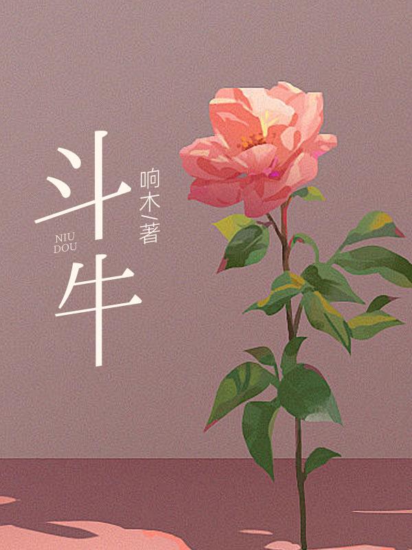 斗牛扑克牌