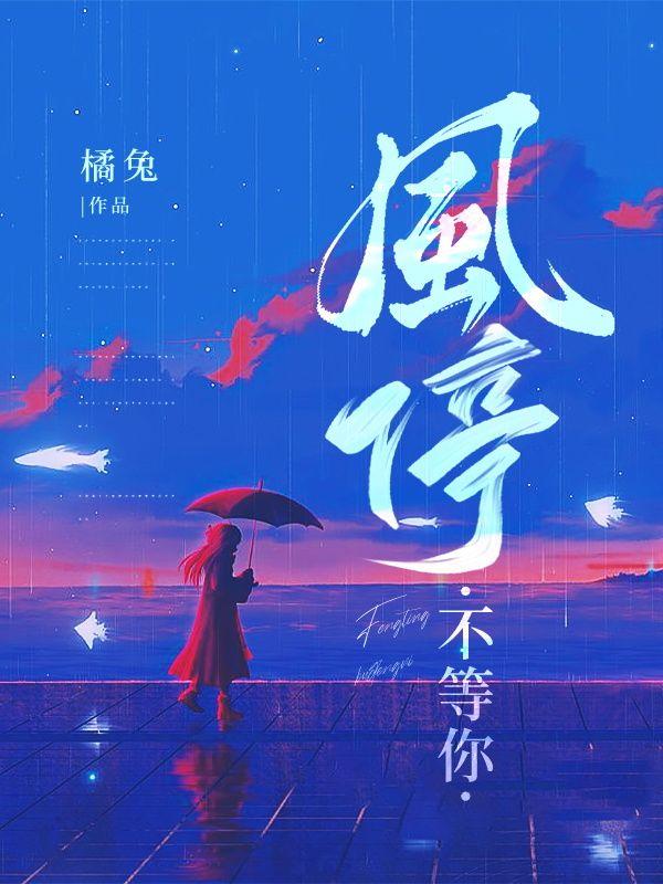 不等风只等你