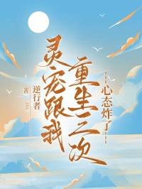 灵宠系统免费阅读
