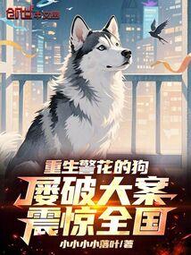 屡破大案震惊全国