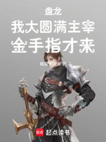 盘龙之大玩家