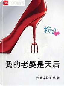 我的老婆是天后九天御风