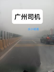 广州司机撞人致5死13伤原因