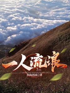 一人流浪在远方这首歌的含义