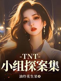 tnt少年系列探案