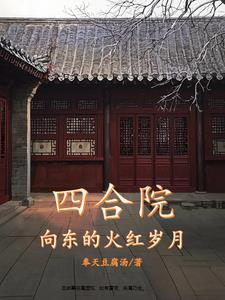 四合院火红岁月的过客