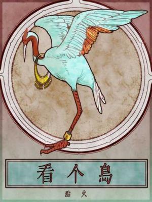 看个鸟长佩
