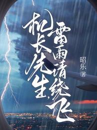 机长先生雷雨请绕飞txt盘