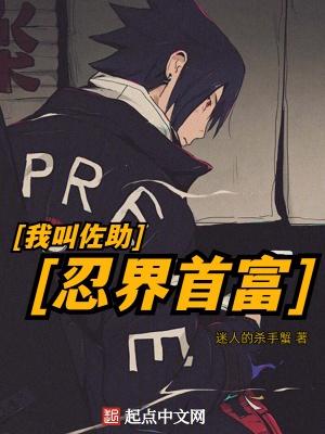 穿越火影我是佐助他弟