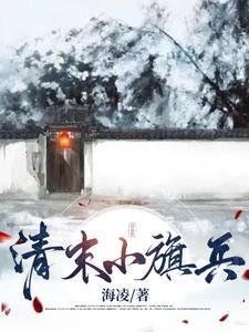 清末小旗兵里的连安也是穿越者吗?