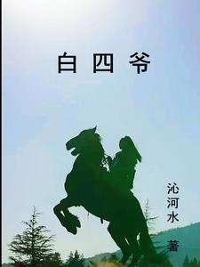 白四爷说主要讲了什么