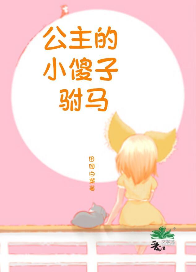傻公主和将军的