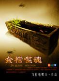 金棺陵兽全文在线阅读