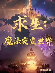 魔法灾害保险指南