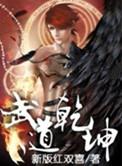 武道乾坤好看吗