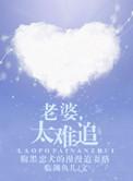 老婆太难追临渊鱼儿txt