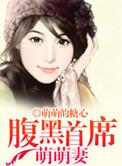 腹黑首席爱妻如命免费阅读