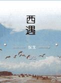 西遇和热风哪个好