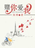 赌你爱我全文免费阅读