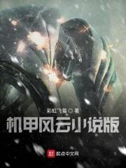 机甲风云小游戏