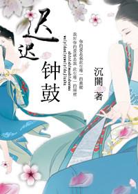 迟迟钟鼓初长夜打三个数字?