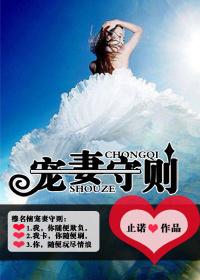 宠婚守则免费阅读