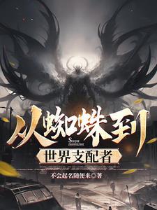 从蜘蛛巷开始
