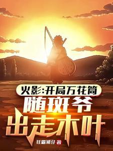 随斑爷出走木叶起点