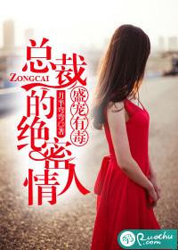 盛宠总裁妻
