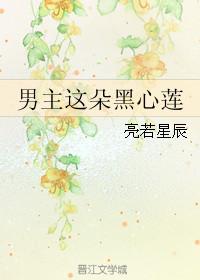 男主这朵黑心莲by亮若星辰